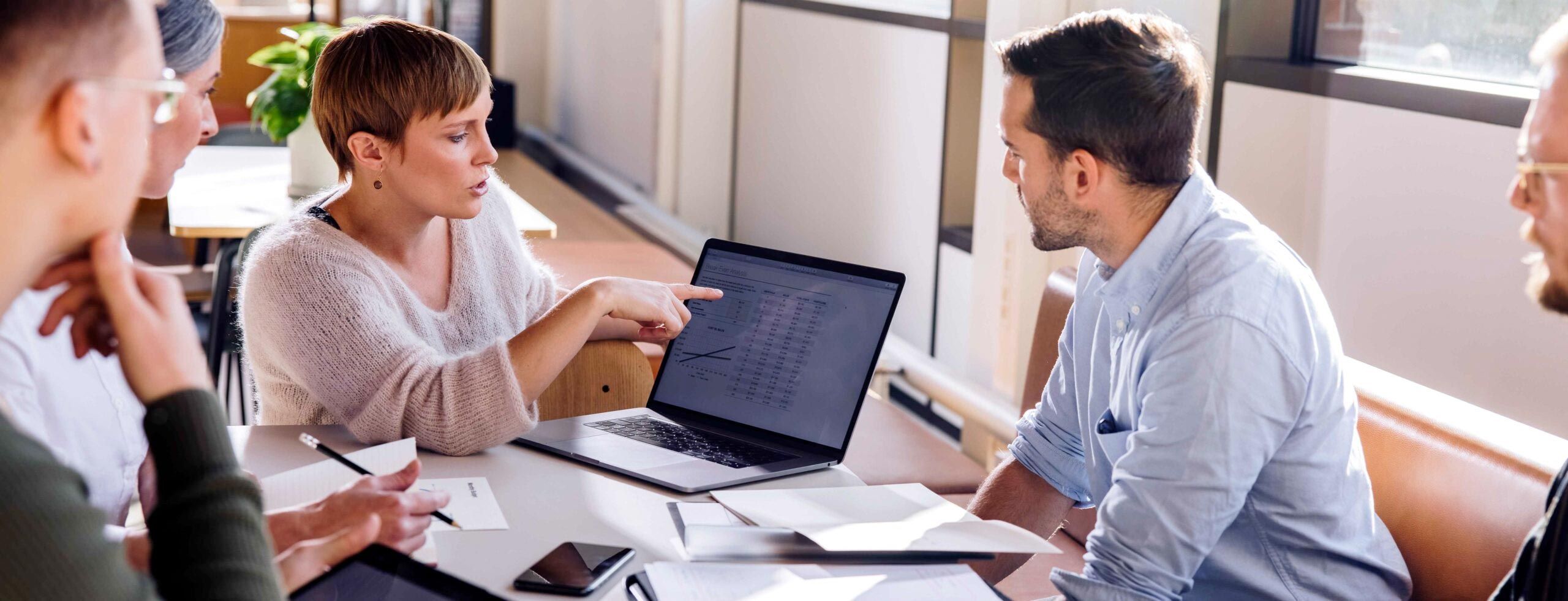 Expertise Strategie & Entwicklung 